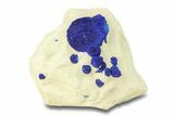 Vibrant Blue Azurite Suns on Siltstone - Australia #287972-1